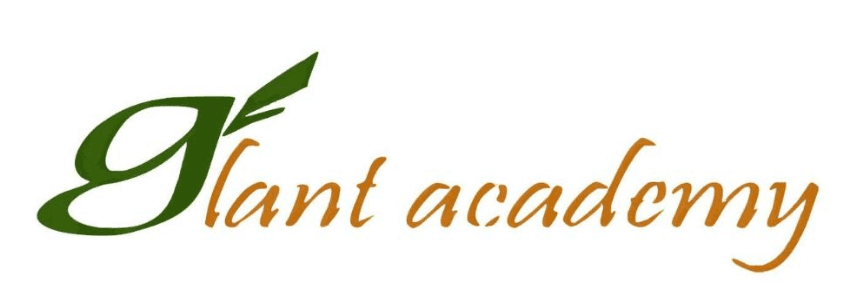 Glant English Academy_1.png