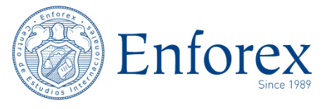 Enforex_1.png