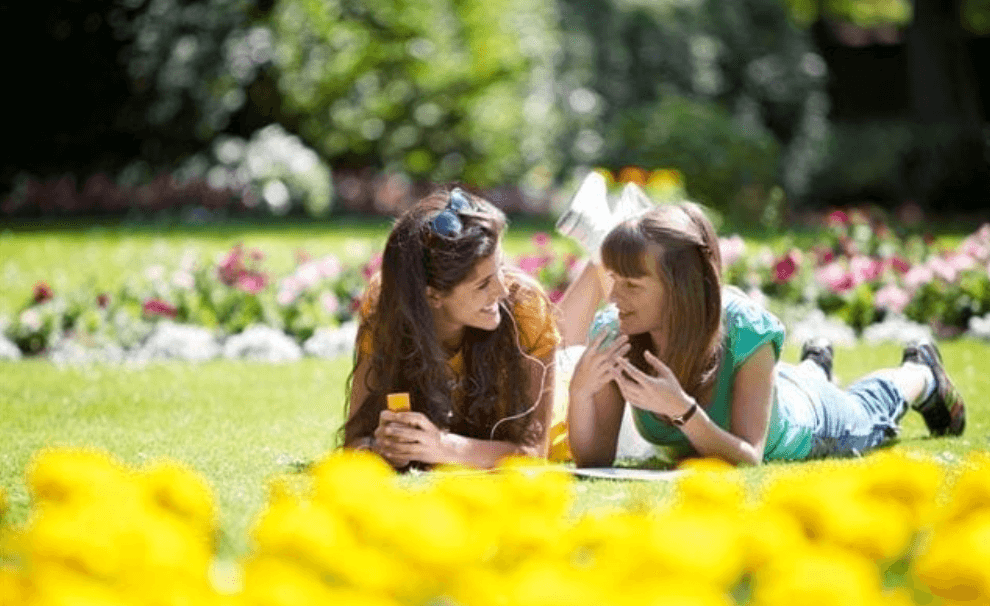 Emerald Cultural Institute_5.png