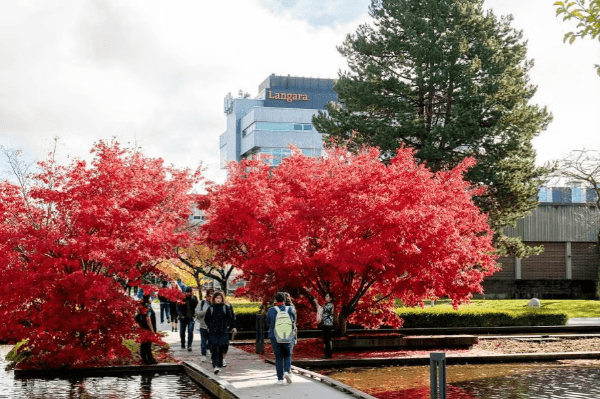 Langara English for Academic Purposes_4.png