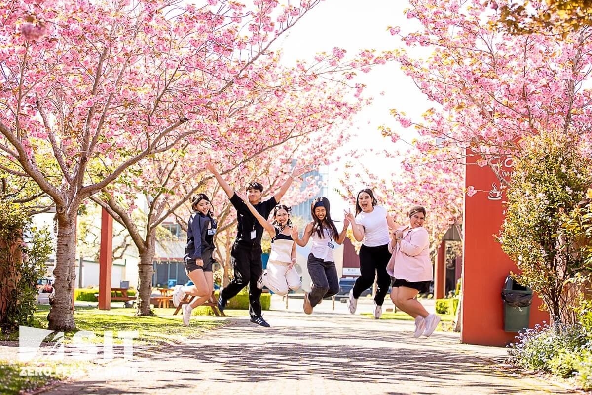 Southern Institute of Technology_7.jpg