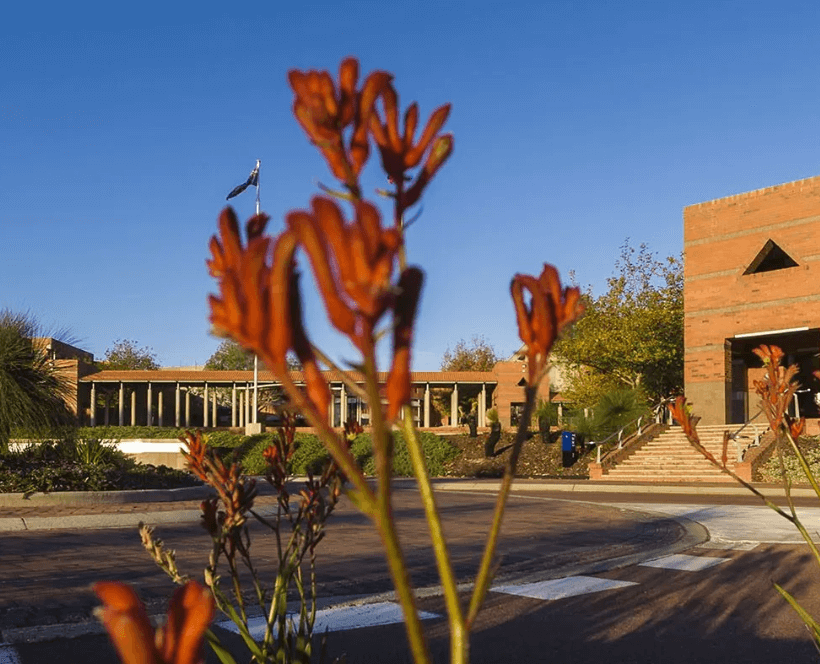 Curtin English_5.png