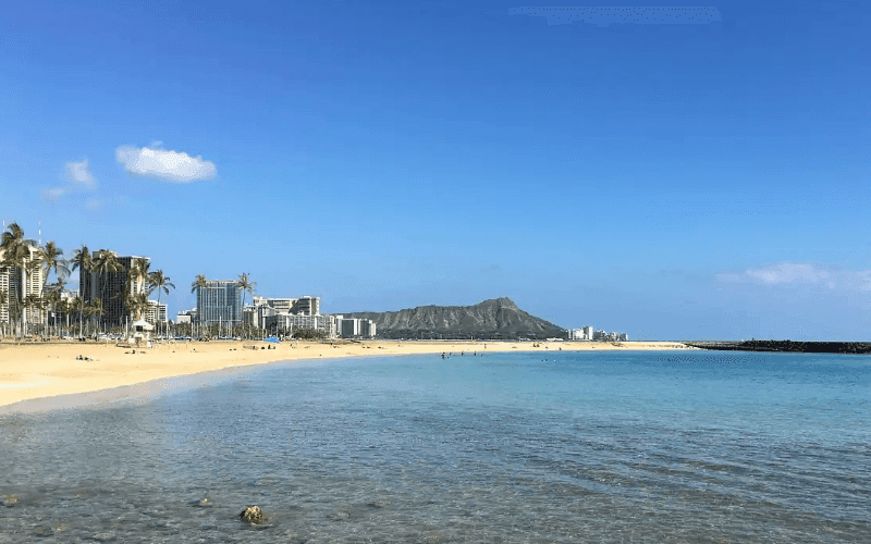 Academia Language School_3.png